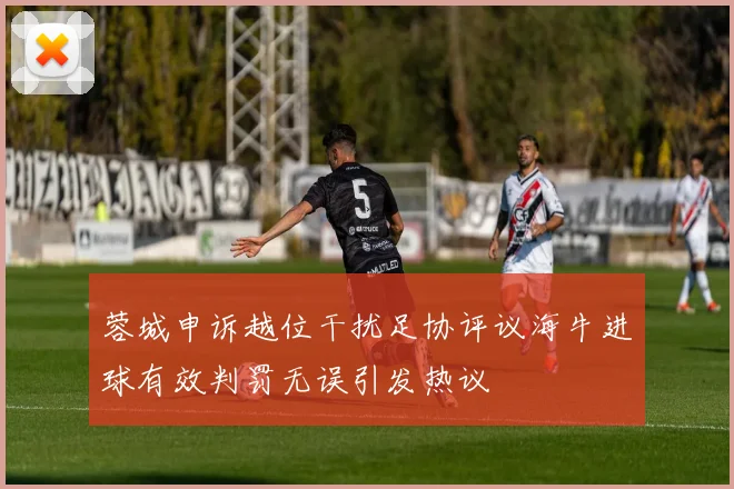 蓉城申诉越位干扰足协评议海牛进球有效判罚无误引发热议