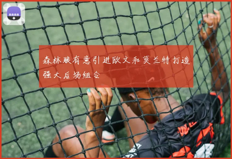 森林狼有意引进欧文和莫兰特打造强大后场组合