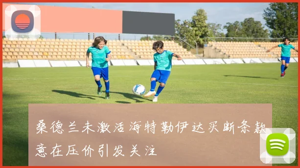 桑德兰未激活海特勒伊达买断条款意在压价引发关注